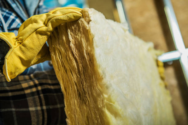 Best Commercial Insulation in Pine Bluff, AR