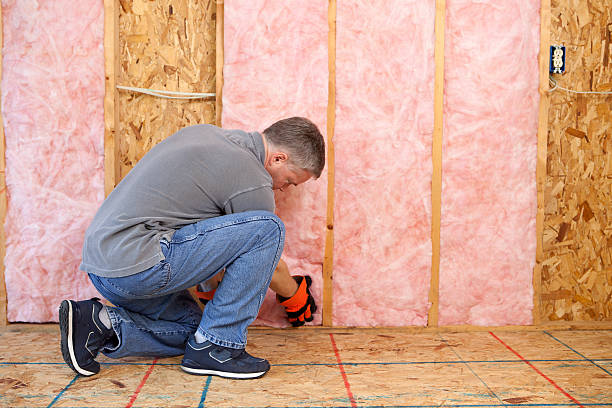 Best Insulation Maintenance and Repair in Pine Bluff, AR